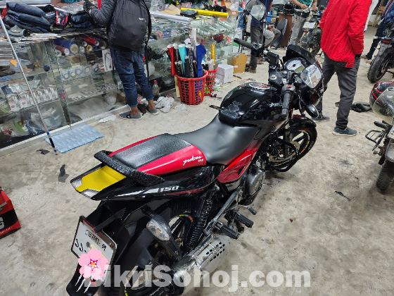 Pulsar Double Disk 2018 model
